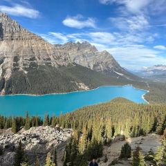 Banff Ave Brewing Co User Photo