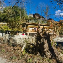 贡山秋那桶阿土家民宿 User Photo