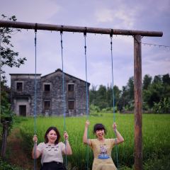 公益茶楼 User Photo