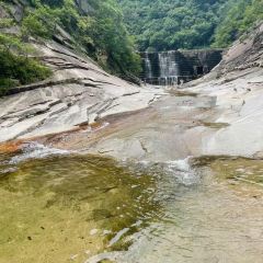 张沟农家乐8号 User Photo