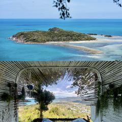 The Cocoon RESTAURANT & BAR User Photo