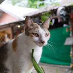 Oasis Bar & Restaurant User Photo