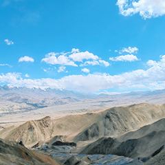 塔漂咖啡馆 User Photo