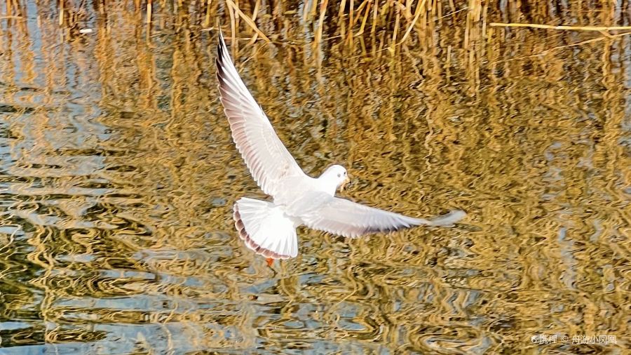 水景坊•湖景餐廳
