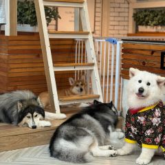 Omakase Don by Teppen User Photo