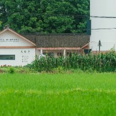 凡塔夕 User Photo
