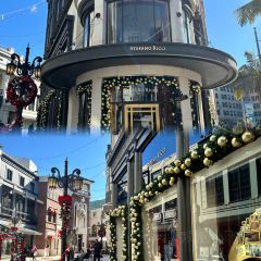 The Friendly Toast User Photo