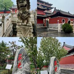 钟楼大面包 User Photo