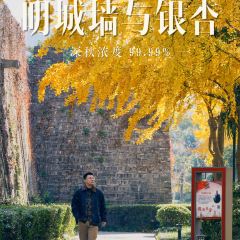 麥當勞（常州西瀛裡店）張用戶圖片