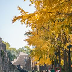麥當勞（常州西瀛裡店）張用戶圖片