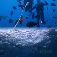 Outback Steakhouse User Photo