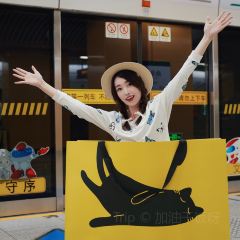 遇见猫咪杂货铺 User Photo