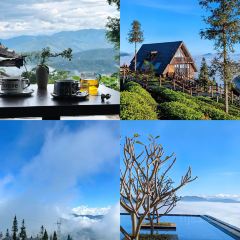 SU SHI TIAN FU User Photo