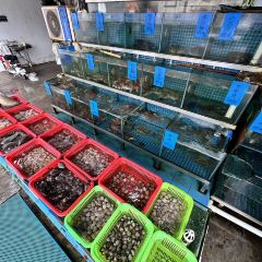 合你意海鲜饭店(双月湾虹海湾店) User Photo
