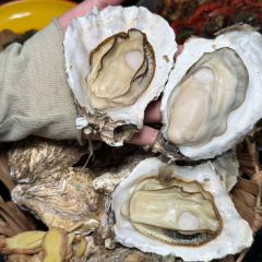 胡爷龙虾·广西特色口味(埌西店) User Photo