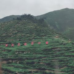 臘子口藏家樂張用戶圖片