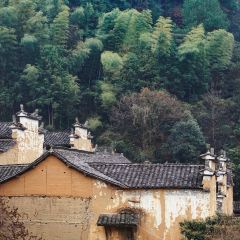 松阳记忆 User Photo