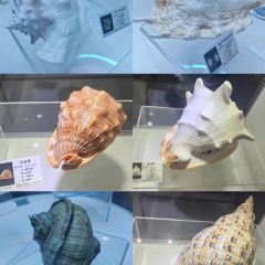 Jia jun ba bao niu za 여행 사진