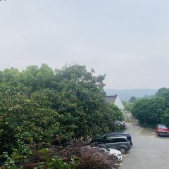 無錫魯能萬豪飯店·萬豪中餐廳張用戶圖片