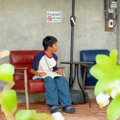 Oceanside beach club & restaurant User Photo