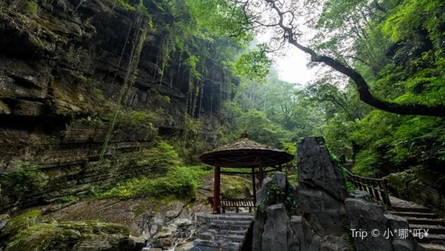 hu ping shan da xia gu