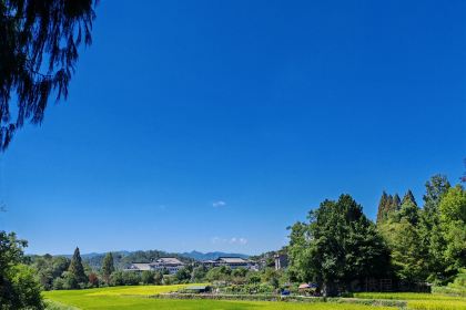 天缘阁素食餐厅