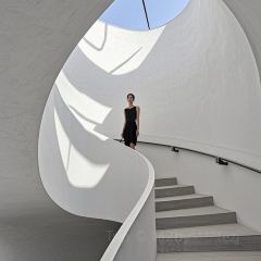 Bar Lotus User Photo