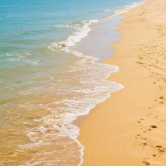 MOON VALLEY User Photo