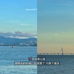 老顾客煲仔饭(蛇口店) User Photo