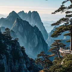 肖家饸饹面总店(郑州总店) User Photo