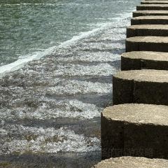 SHANGXILEICHA User Photo