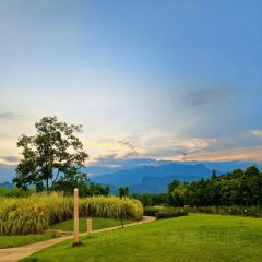 春山外精品汤屋度假酒店·悦食餐厅 여행 사진