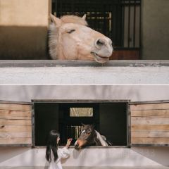 绍兴新昌安岚·听涛阁 User Photo