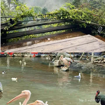 แม่น้ํานก