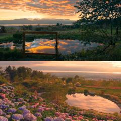 青寂溪谷半山酒店·枫见餐厅 User Photo