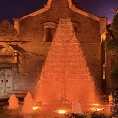 王阿姨梅花糕 User Photo