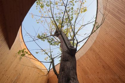 Harudot Chonburi by Nana Coffee Roasters