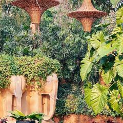 KHAO by Four Seasons User Photo