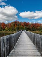 Island Lake Conservation Area