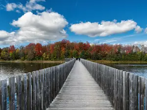 Island Lake Conservation Area