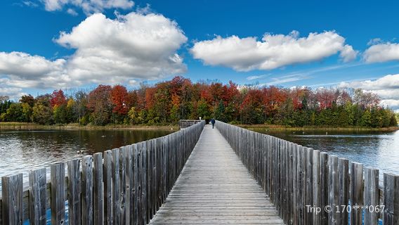 Island Lake Conservation Area