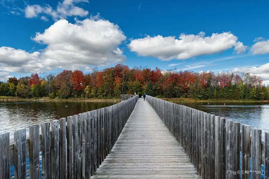 Island Lake Conservation Area