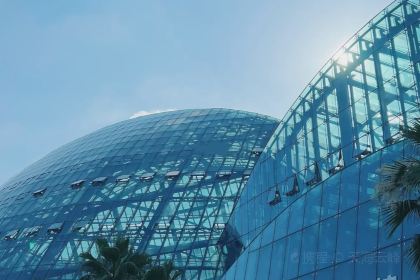 星巴克(華茂店)