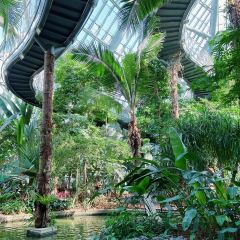 星巴克(華茂店)張用戶圖片