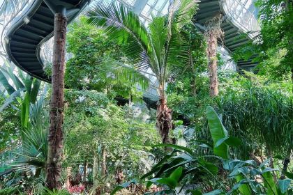 星巴克(華茂店)