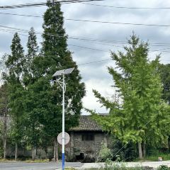 Fanpu Life User Photo