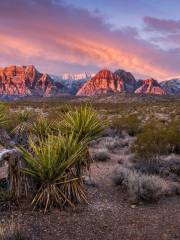 Spring Mountains National Recreational Area