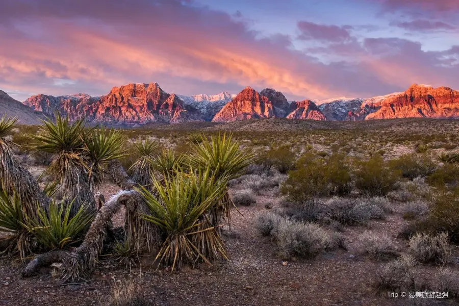 Spring Mountains National Recreational Area