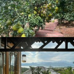 Guanlan Mountain Villa User Photo