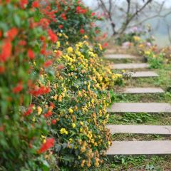 宝马生态农庄·柴火鸡(宝马店) User Photo